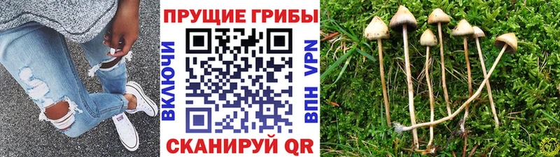 Псилоцибиновые грибы мухоморы  Стерлитамак 