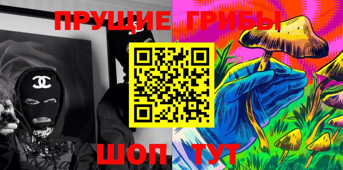 Псилоцибиновые грибы GOLDEN TEACHER  купить наркотики цена  Вход с VPN  Стерлитамак  Галлюциногенные грибы Cubensis 